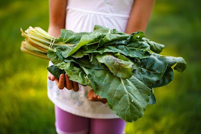 You Can’t Improve What You Don’t Measure: The Data Shaping U.S. Food Systems