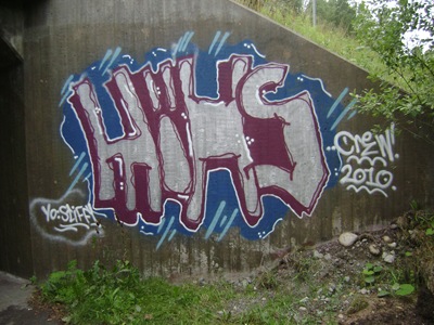 DSC03852
