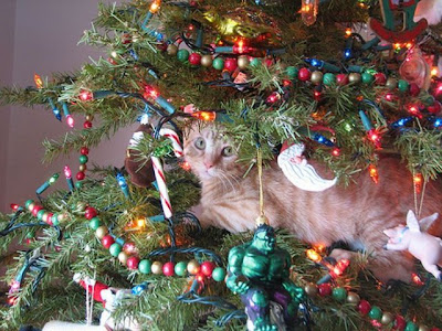 Cats on Christmas Tree Seen On lolpicturegallery.blogspot.com