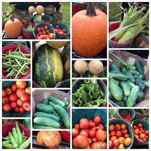 A nice harvest