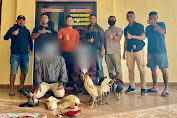 Polisi Tangkap Pelaku Perjudian Sabung Ayam