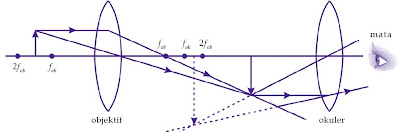 Diagram pembentukan bayangan pada mikroskop.