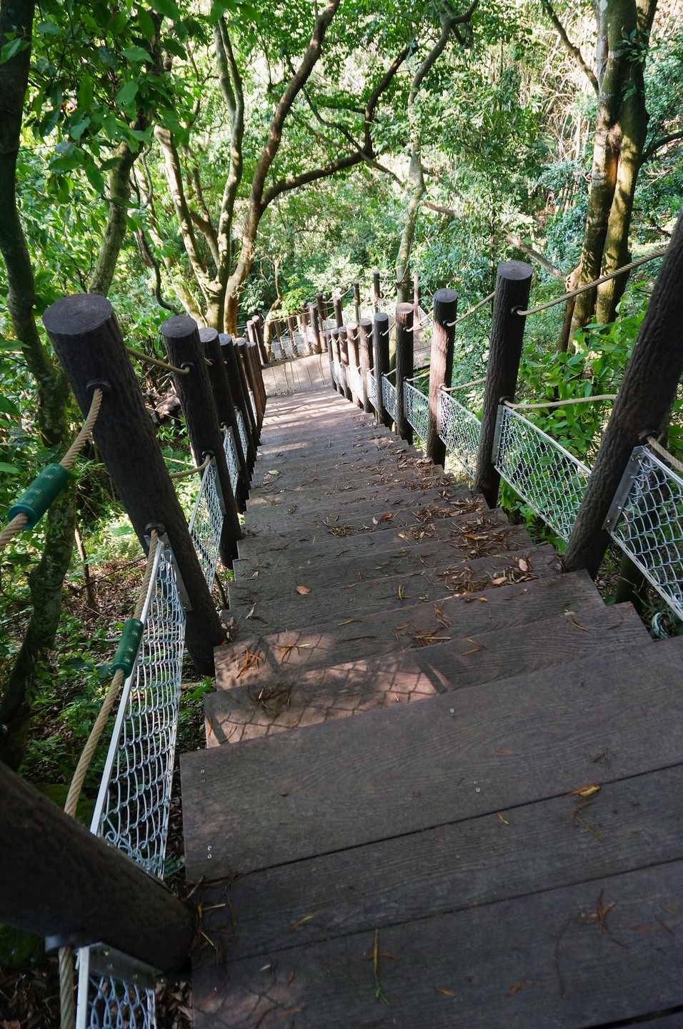 泰安登山步道