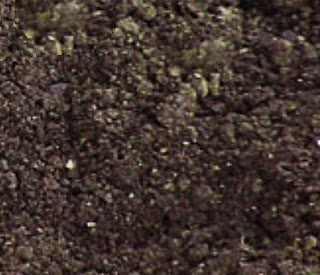 Organic soil 