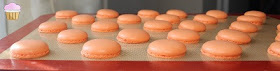 macarons