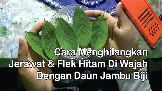 WOW Luar Biasa!! Cukup dengan 5 Lembar daun ini kamu bisa Menghilangkan Flek hitam di Wajah! Yuk Simak Caranya