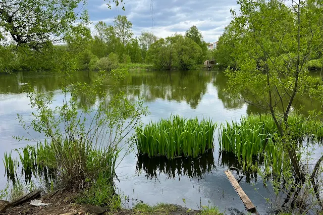 Новогорская улица, Куркинский пруд