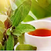 Tisanes: Remèdes naturels - Herbal Teas Natural Remedie