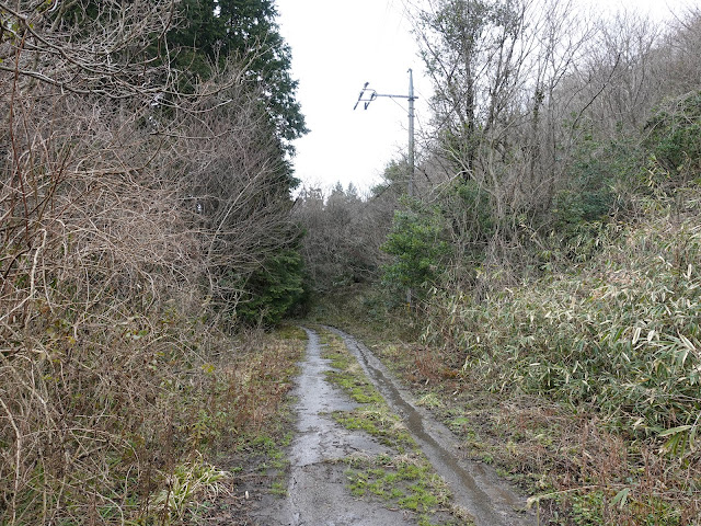 鳥取県米子市淀江町稲吉　森の中の小径