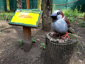 Park Olbrzymich Owadów - Ostrów Wielkopolski - podróże - podróże z dzieckiem - Jezioro Piaski Szczygliczka - jednodniowe wycieczki z dzieckiem - Wielkopolska z dzieckiem - Polska z dziećmi 