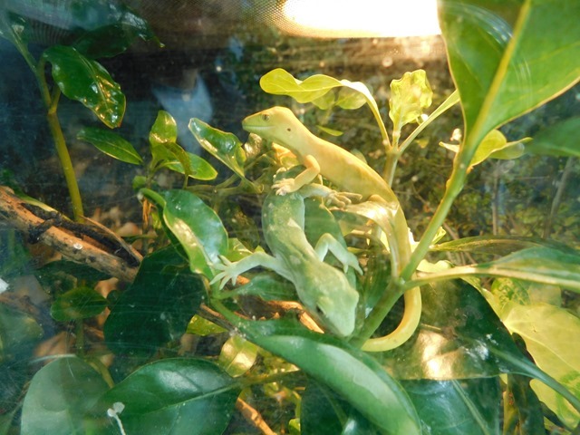 DSCN9261