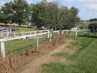 Schrock's Heritage Village