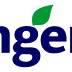 Syngenta Crop Protection aprovechará inteligencia artificial en la innovación de productos sostenibles