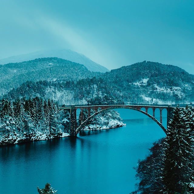 Bridge Between Lake In Forest Desktop Wallpaper