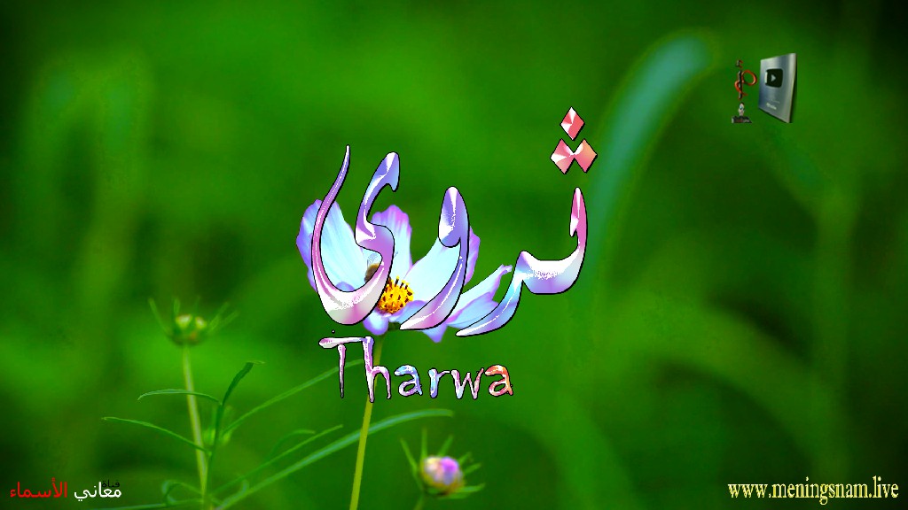 معنى اسم, ثروى, وصفات, حاملة, هذا الاسم, Tharwa,