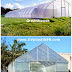 Bahan Untuk Membuat Green House