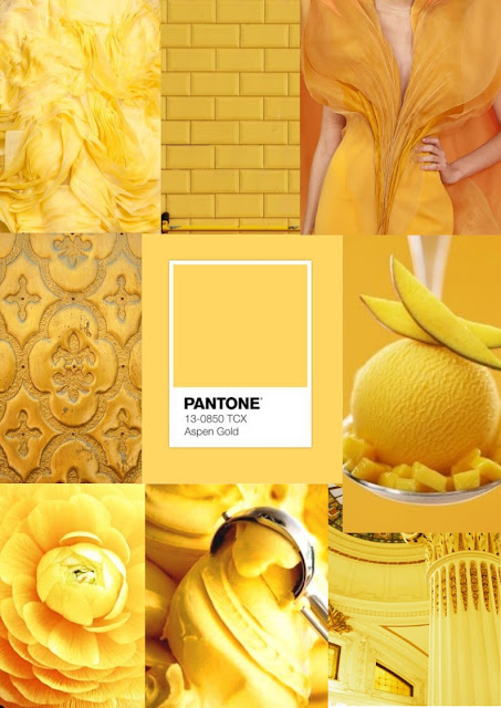 M3T - CONHEÇA AS 16 CORES DA PANTONE PARA 2019