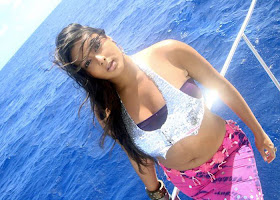 Namitha Hot and Sexy Photos