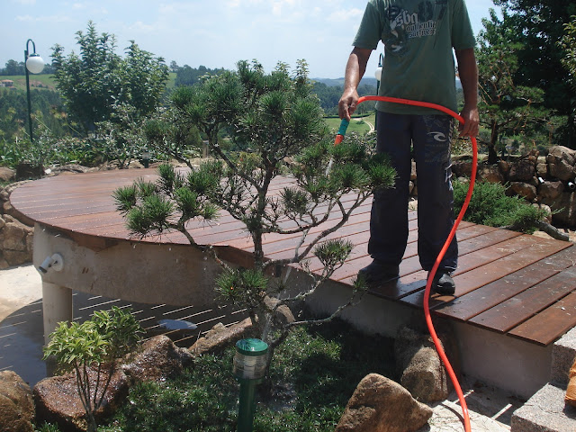 jardim japonês