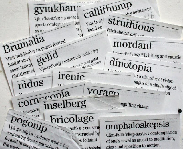 BOOKTRYST: Twelve Weird Words Every Bibliophile Should Know