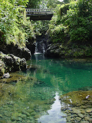 Ching's Pond, Maui