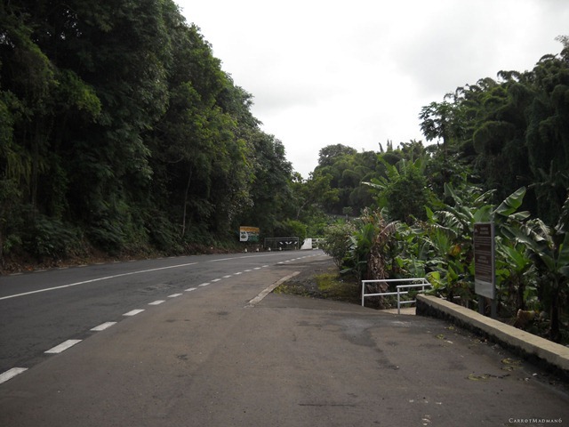 DSCN3045