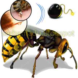 https://blogger.googleusercontent.com/img/b/R29vZ2xl/AVvXsEiBY2Z5TMgfd28InlAwaraCxICtCTxLbg_Qi0u-Fs5R0df_TaC_p_jadSdfWn_06QigMU8QiHsWcaF4v_UGXxoj12l01XjvgnIb4dnmQZoZYjNVAk4WI6k_uQ2sTzIThjJcnnTRtuPR0wt7/