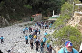nº (56)