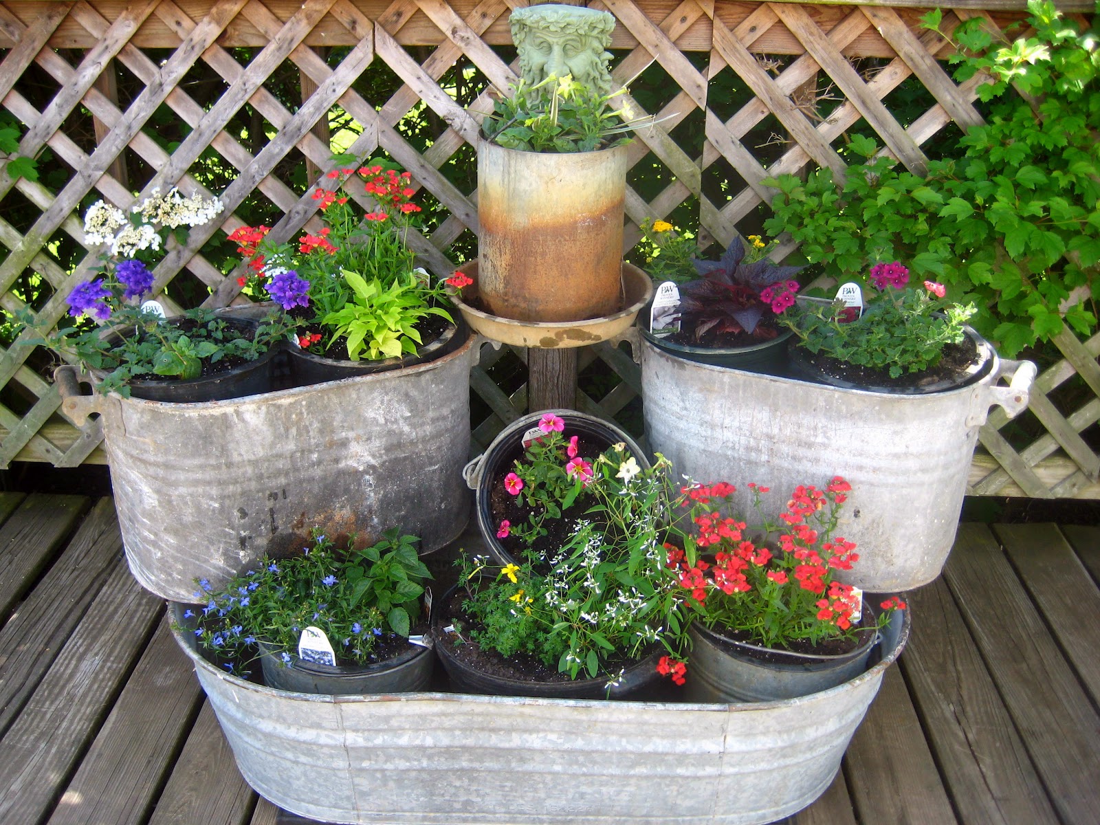 flower pot ideas for full sun