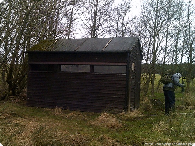 hadrians wall 009