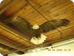 DSCN8289