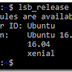 How to determine Ubuntu version via a terminal session