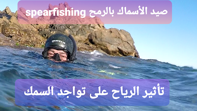 تأثير الرياح(vent) على مدى تواجد السمك عند صيد السمك بالرمح spearfishing