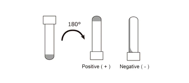 Bacterial Endotoxin Test