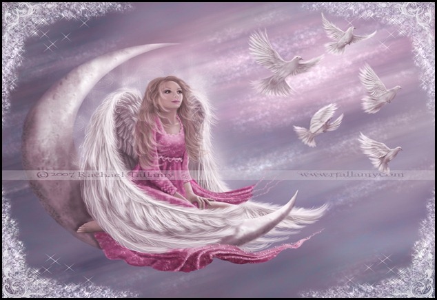 tallamy_serenity