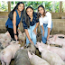 Tres hermanas exitosas en la crianza de cerdos.