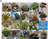 show botanical - image view