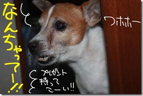 今日カズ１０１００７　３