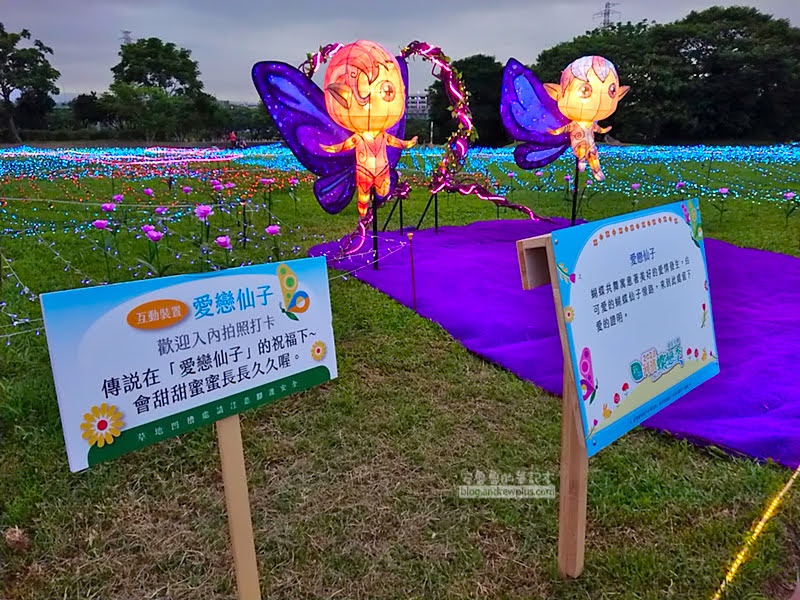 板橋蝴蝶公園,地景花海光雕,板橋景點,河濱蝶戀季