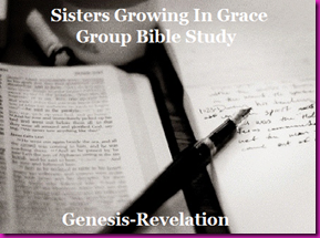 SGIGBibleStudy