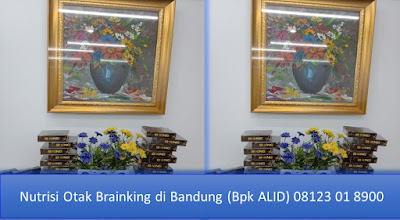  PROMOSI, 08123 01 8900 (Bpk. Alid), Nutrisi Otak Brainking di Bandung