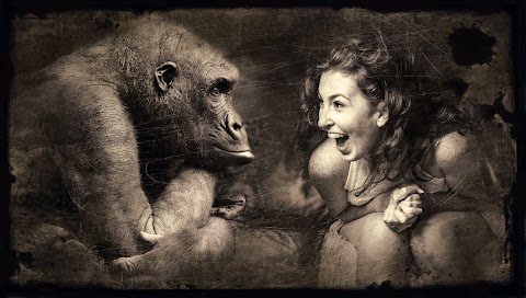 Amazing: Woman Laugh Sepia Brown Gorilla [High Resolution]