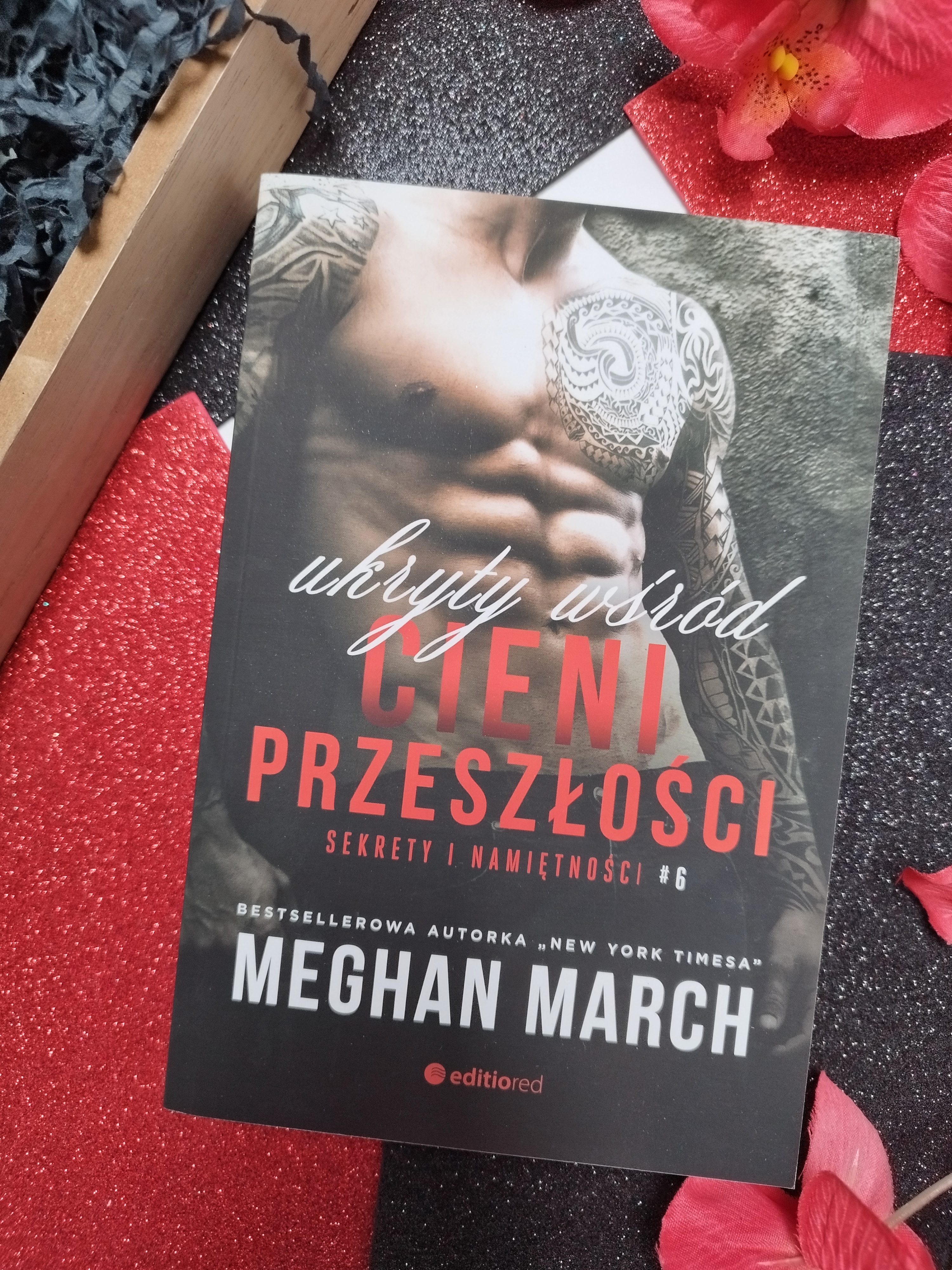 "Ukryty wśród cieni przeszłości" Meghan March - recenzja