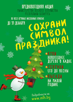 Акция Сохрани символ праздника: как ухаживать за новогодним деревом в кадке?