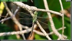 20131022_201232_067_YehLiu