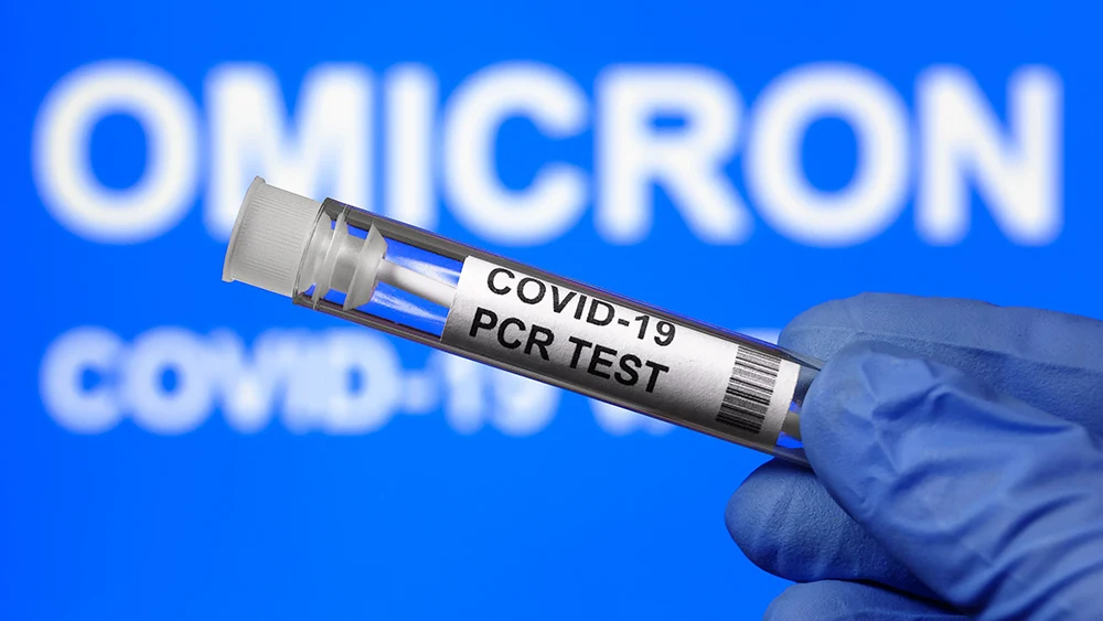 Biden orders 100M at-home COVID test kits in anticipation of fall infection surge – and ahead of midterm elections