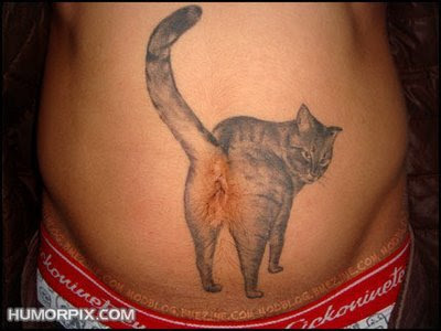 kitten tattoos