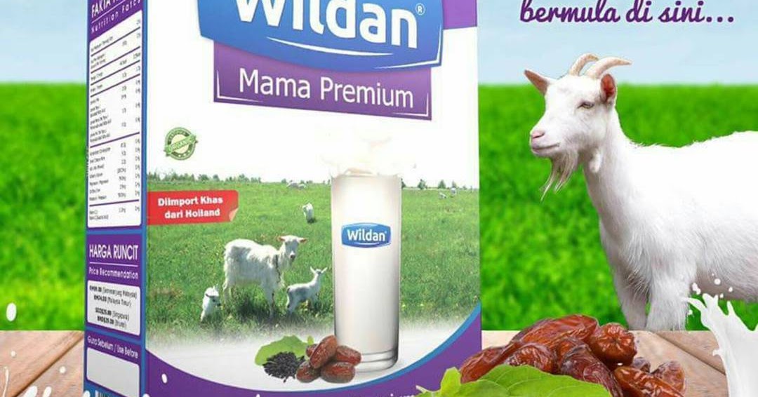 Kebaikan Susu Kambing: SUSU KAMBING WILDAN UNTUK IBU 