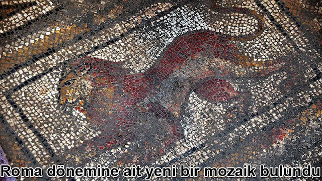Osmaniye'de Roma dönemine ait yeni bir mozaik bulundu