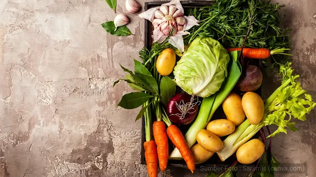 Tanaman Sayuran yang Mudah Ditanam di Rumah untuk Pemula